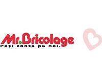 Mr. Bricolage
